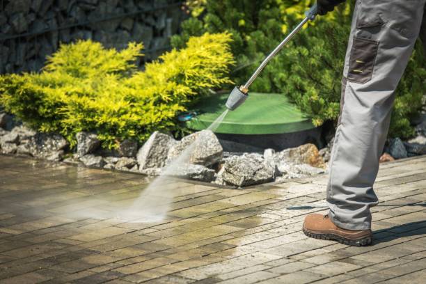 Best Oil Spill Cleanup  in New London, MN