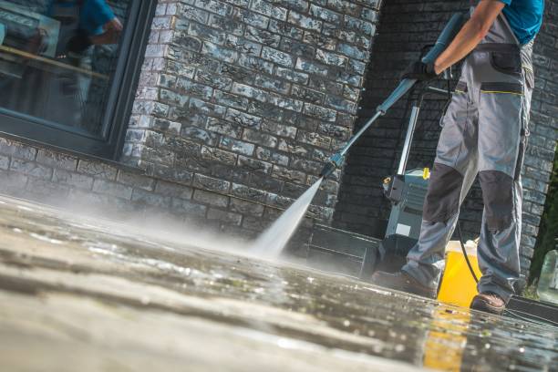 Best Animal Enclosure Cleaning  in New London, MN