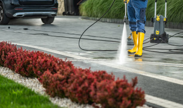  New London, MN Pressure Washing Pros